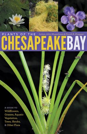 Book cover of Plants of the Chesapeake Bay