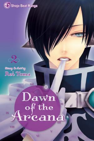 Book cover of Dawn of the Arcana, Vol. 2