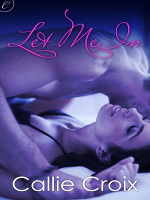 Cover of the book Let Me In by Julie Moffett