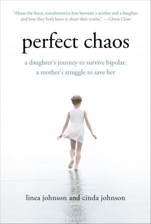 Cover of the book Perfect Chaos by Mitchell Stephens