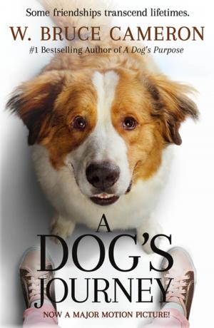 Cover of the book A Dog's Journey by Kij Johnson