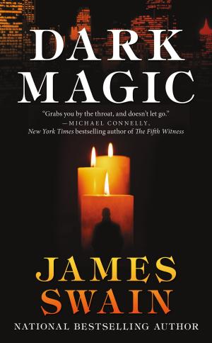 Cover of the book Dark Magic by Stephanie Park