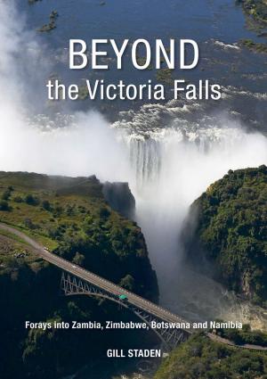Cover of the book Beyond the Victoria Falls by Gail Bussi
