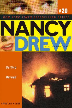 Cover of the book Getting Burned by Nancy Coffelt