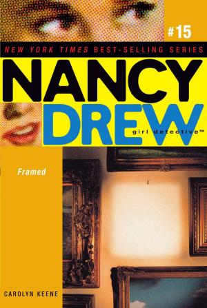 Cover of the book Framed by Dianne Hofmeyr
