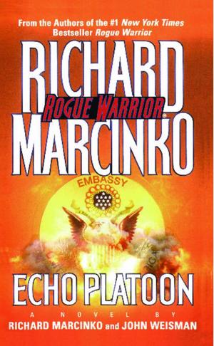 Book cover of Echo Platoon