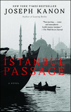 Cover of the book Istanbul Passage by Marshall S. Ball