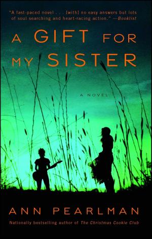 Cover of the book A Gift for My Sister by Rae Winters