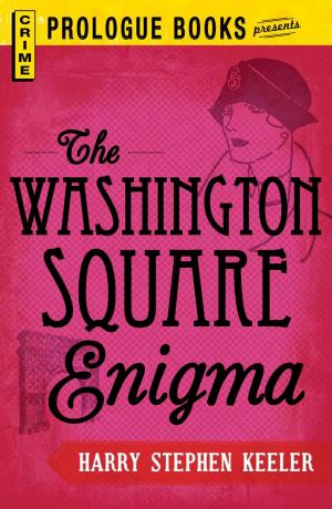 Book cover of The Washington Square Enigma