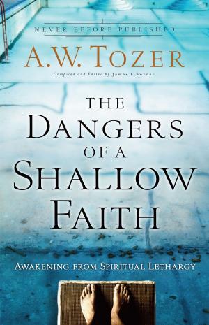 Cover of the book The Dangers of a Shallow Faith by Jason Byassee, R. R. Reno, Robert Jenson, Robert Wilken, Ephraim Radner, Michael Root, George Sumner