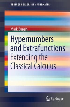 Cover of the book Hypernumbers and Extrafunctions by Terje Aven, Uwe Jensen