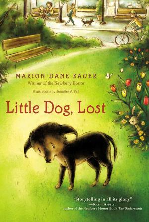 Cover of the book Little Dog, Lost by Sylvia Whitman