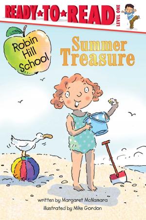 Book cover of Summer Treasure