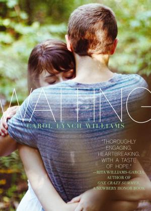 Cover of the book Waiting by Lewis Mehl-Madrona, M.D.
