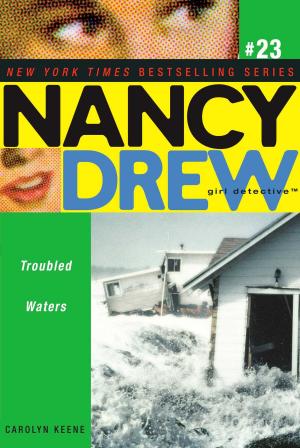 Cover of the book Troubled Waters by Franklin W. Dixon