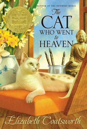 Cover of the book The Cat Who Went to Heaven by Franklin W. Dixon