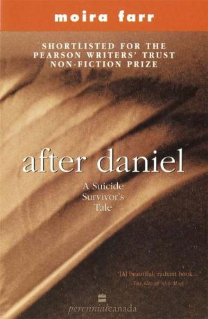Cover of the book After Daniel by Christopher S Stewart