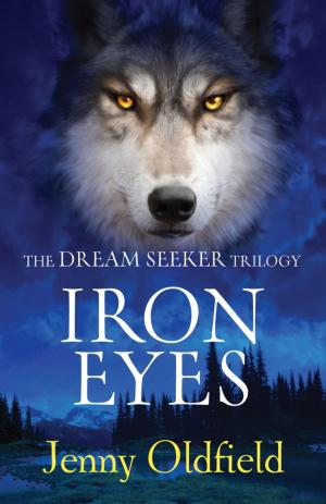 Cover of The Dreamseeker Trilogy: Iron Eyes