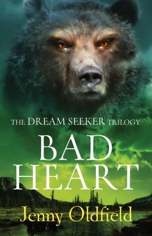 Cover of the book The Dreamseeker Trilogy: Bad Heart by Jennifer Gray, Amanda Swift