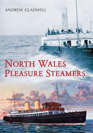 Cover of the book North Wales Pleasure Steamers by Dilip Sarkar