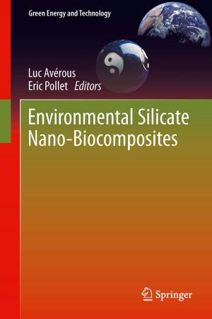 Cover of the book Environmental Silicate Nano-Biocomposites by Maria Kopsakangas-Savolainen, Rauli Svento