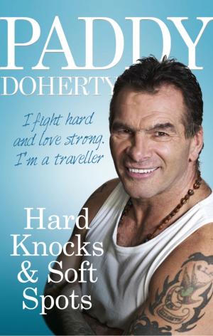 Cover of the book Hard Knocks & Soft Spots by Tina Davis