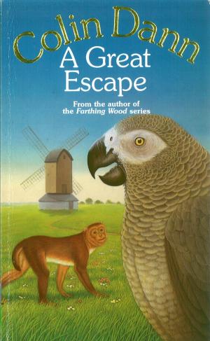Cover of the book A Great Escape by Colin Dann
