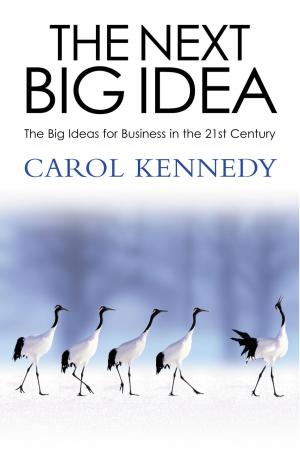 Cover of the book The Next Big Idea by Alan Rossney