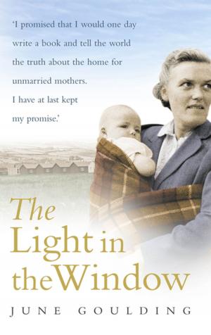 Cover of the book The Light In The Window by Lewis, Jenny With The Psoriasis Association