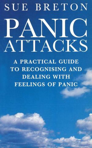 Cover of the book Panic Attacks by Brad Evans, Jonny Garrett