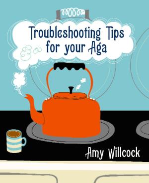 bigCover of the book Troubleshooting Tips for Your Aga by 