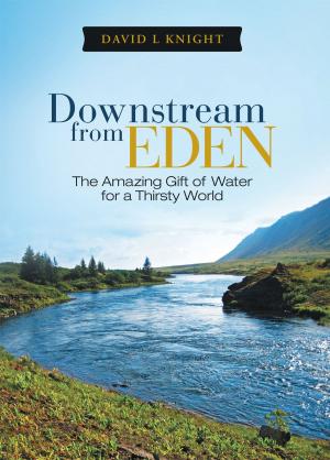 Cover of the book Downstream from Eden by Ria Baker