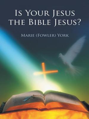 bigCover of the book Is Your Jesus the Bible Jesus? by 