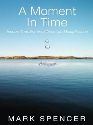 Cover of the book A Moment in Time by Benjamin Lau MD PhD, Esther Lau MS RD
