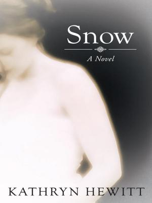 Cover of the book Snow by Ann O. Chehak