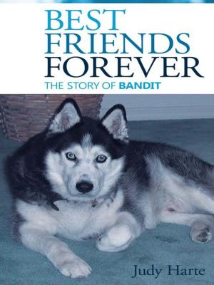 Cover of the book Best Friends Forever by Bishop Paul H. Evans B.S. Pastor