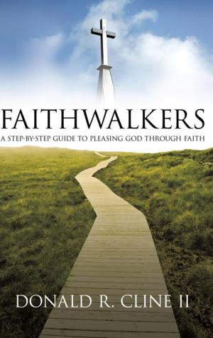 Cover of the book Faithwalkers by Tim Howard