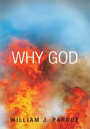 Cover of the book Why God by Duane Seuferer