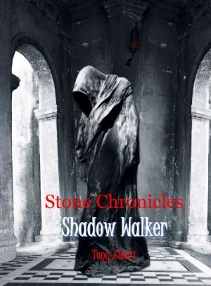 Cover of the book Stone Chronicles: Shadow Walker by Stuart Matthew Davis