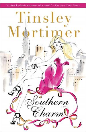 Cover of the book Southern Charm by James B. Stewart