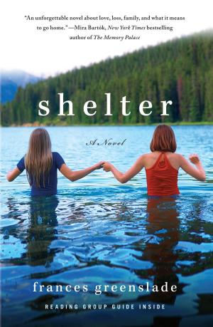 Cover of the book Shelter by Gershom Gorenberg