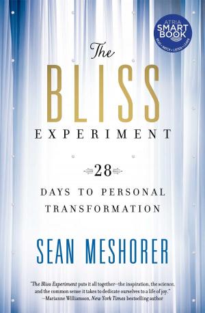 Book cover of The Bliss Experiment (with embedded videos)
