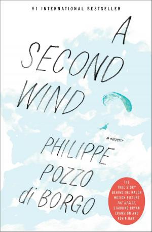 Cover of the book A Second Wind by Donatella Di Pietrantonio