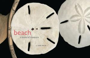 Cover of the book Beach by Paul Jessup