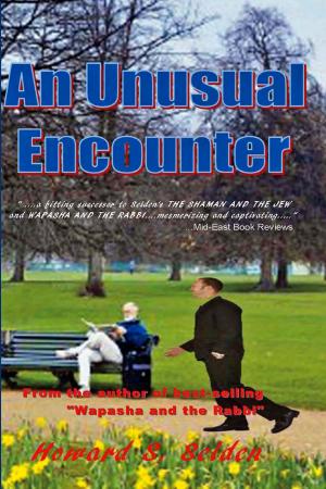 Book cover of An Unusual Encounter