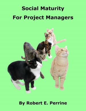 Cover of the book Social Maturity for Project Managers by Robert Perrine
