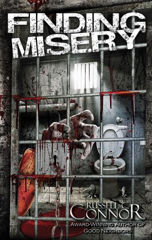 Cover of the book Finding Misery by Aaron Hollingsworth