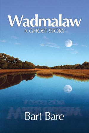 Cover of the book Wadmalaw: A Ghost Story by Charlotte Bailey