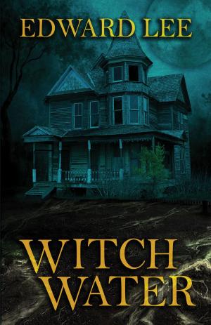 Cover of the book Witch Water by John Shupeck, Jr.