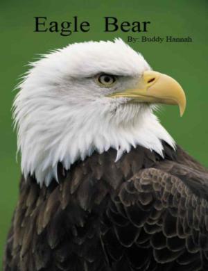 Cover of the book Eagle Bear by Fabrice AGUILLON